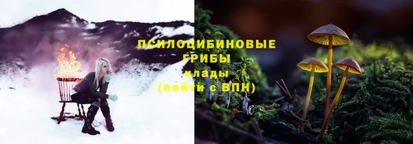 гашик Баксан