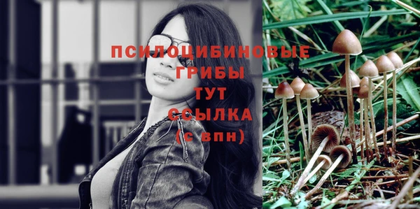 гашик Баксан
