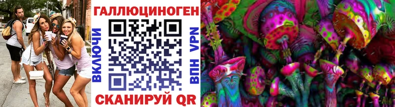 Псилоцибиновые грибы Cubensis  что такое   mega онион  Реутов 