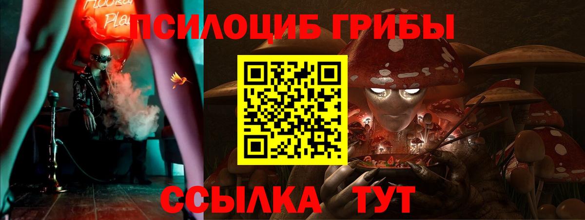 Галлюциногенные грибы Magic Shrooms Реутов